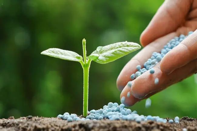 هلدینگ کیمیاگران